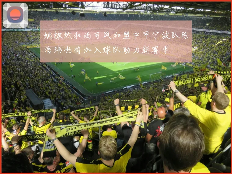 姚棣然和尚可风加盟中甲宁波队陈浩玮也将加入球队助力新赛季