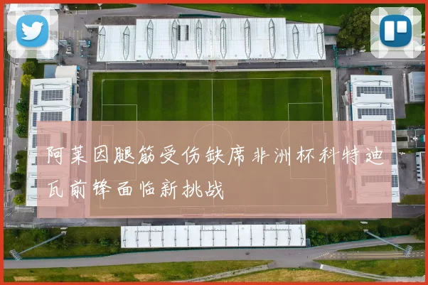 阿莱因腿筋受伤缺席非洲杯科特迪瓦前锋面临新挑战