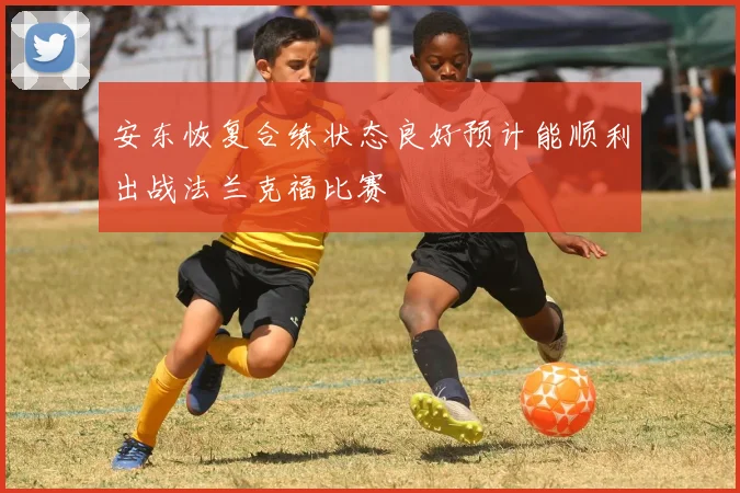 安东恢复合练状态良好预计能顺利出战法兰克福比赛